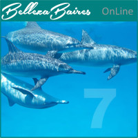 Curso Online de Masaje Atlante Relajante Curso Online de Masaje Atlante Relajante