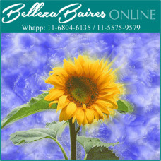 Curso Online de Ho'oponopono