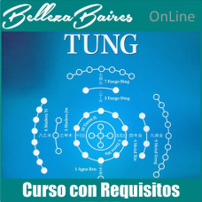 Curso Online de Master en Auriculoterapia TUNG - CON REQUISITOS